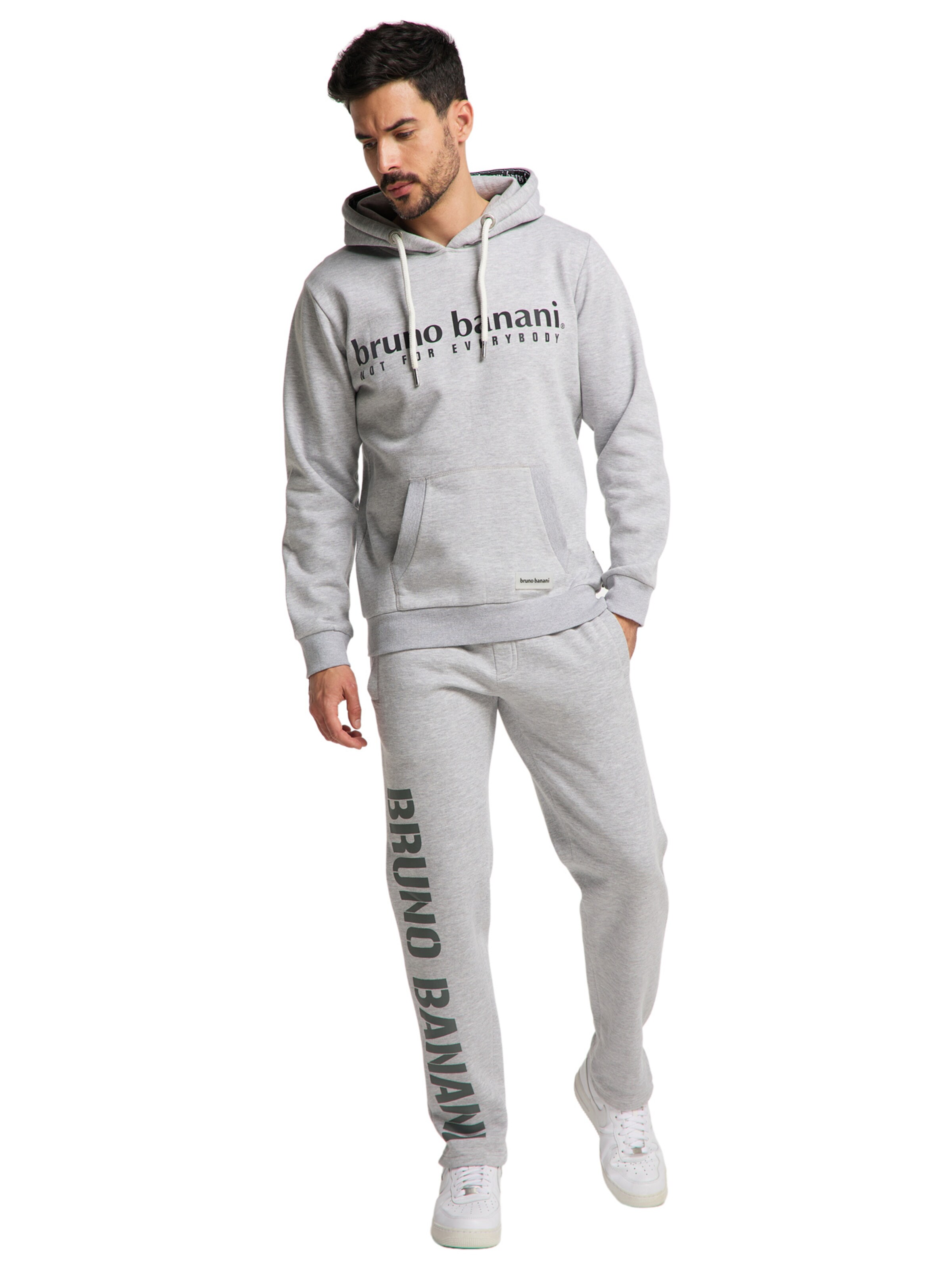 Bruno Banani Sweatshirt  'ALLISON ' in Grau