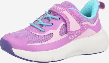 GEOX Tennarit 'PRO-RAN' värissä lila: etupuoli