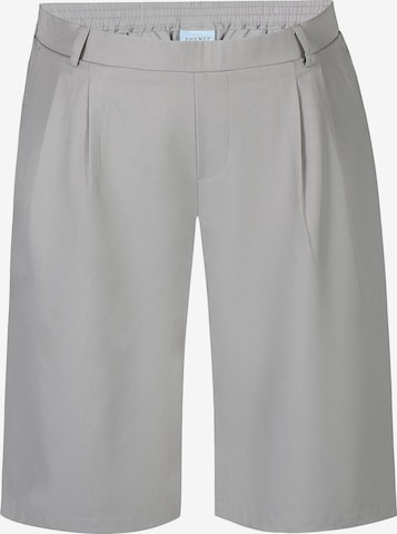 Pantalon 'Hanna 323' Zhenzi en gris : devant