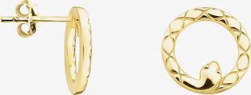 Sofia Milani Earrings 'Snake' in Gold: front