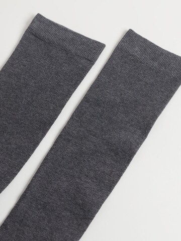 CALZEDONIA Socks in Grey