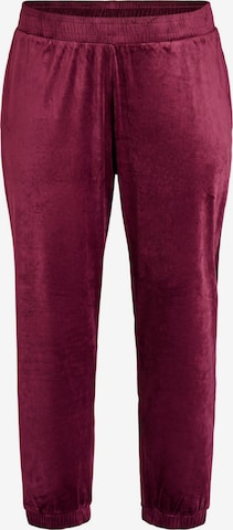 raudona Zizzi Siaurėjantis Kelnės: priekis