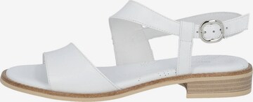 Sandales à lanières Nero Giardini en blanc