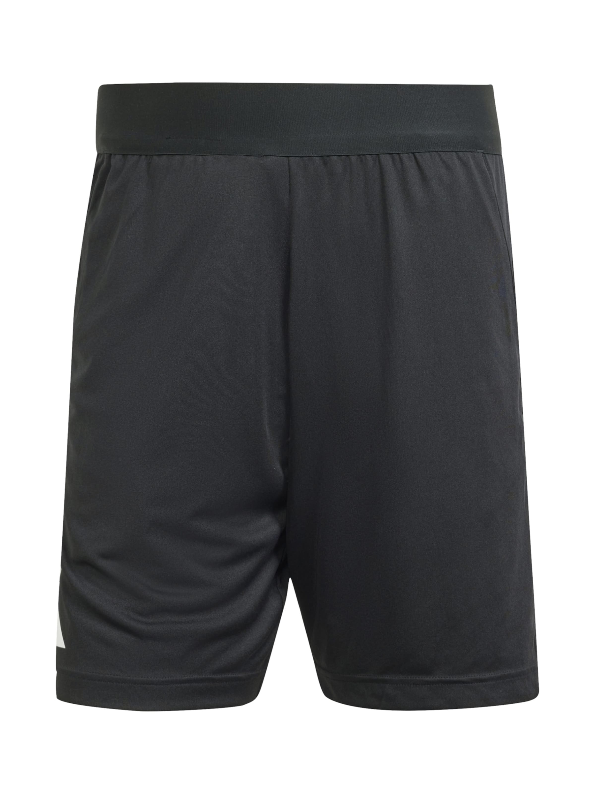 Pantaloni sportivi 'Referee 24' ADIDAS PERFORMANCE di colore nero / bianco, Visualizzazione prodotti