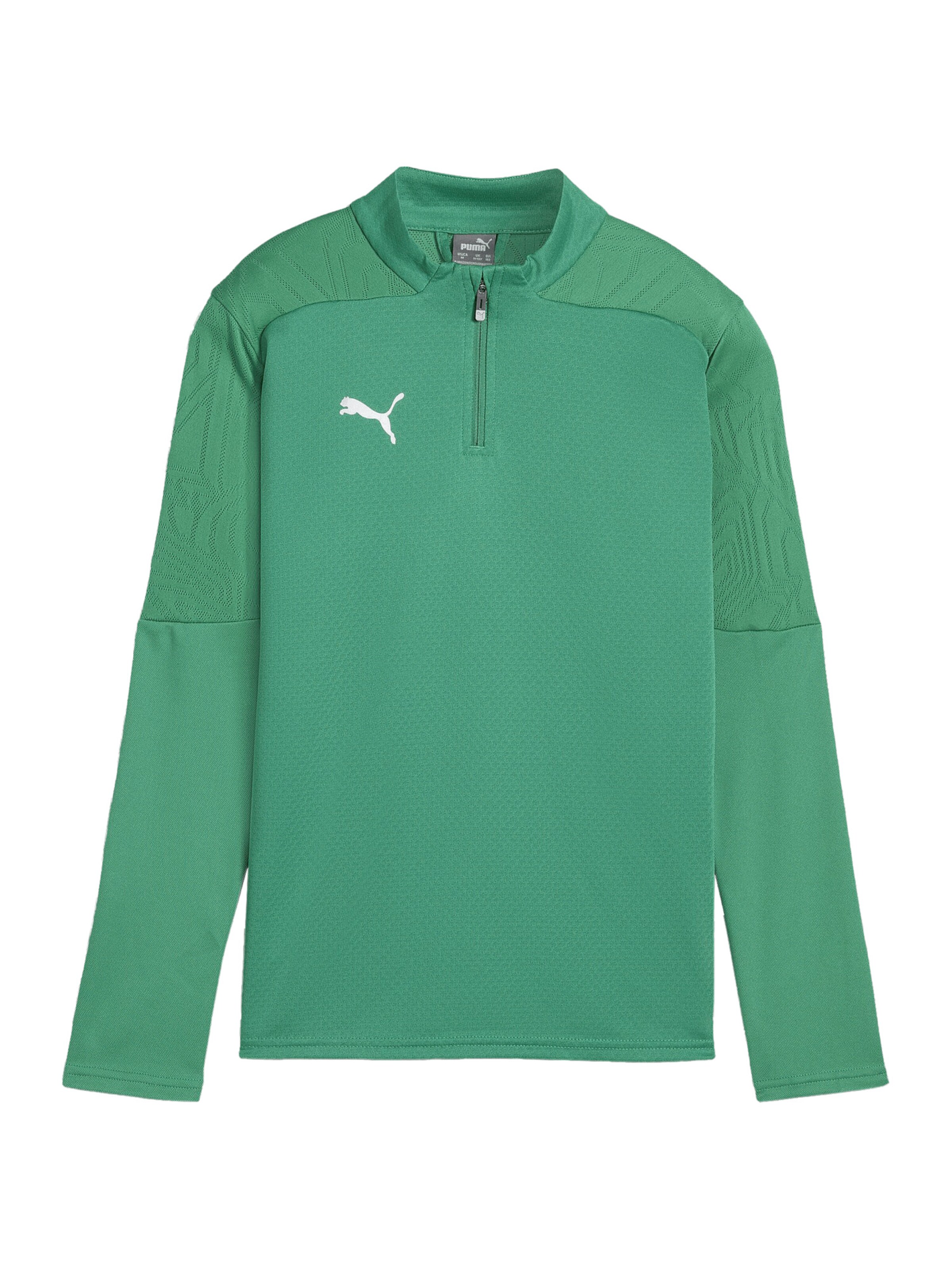 PUMA Funktionsshirt 'Team Final' in Grün: Vorderseite