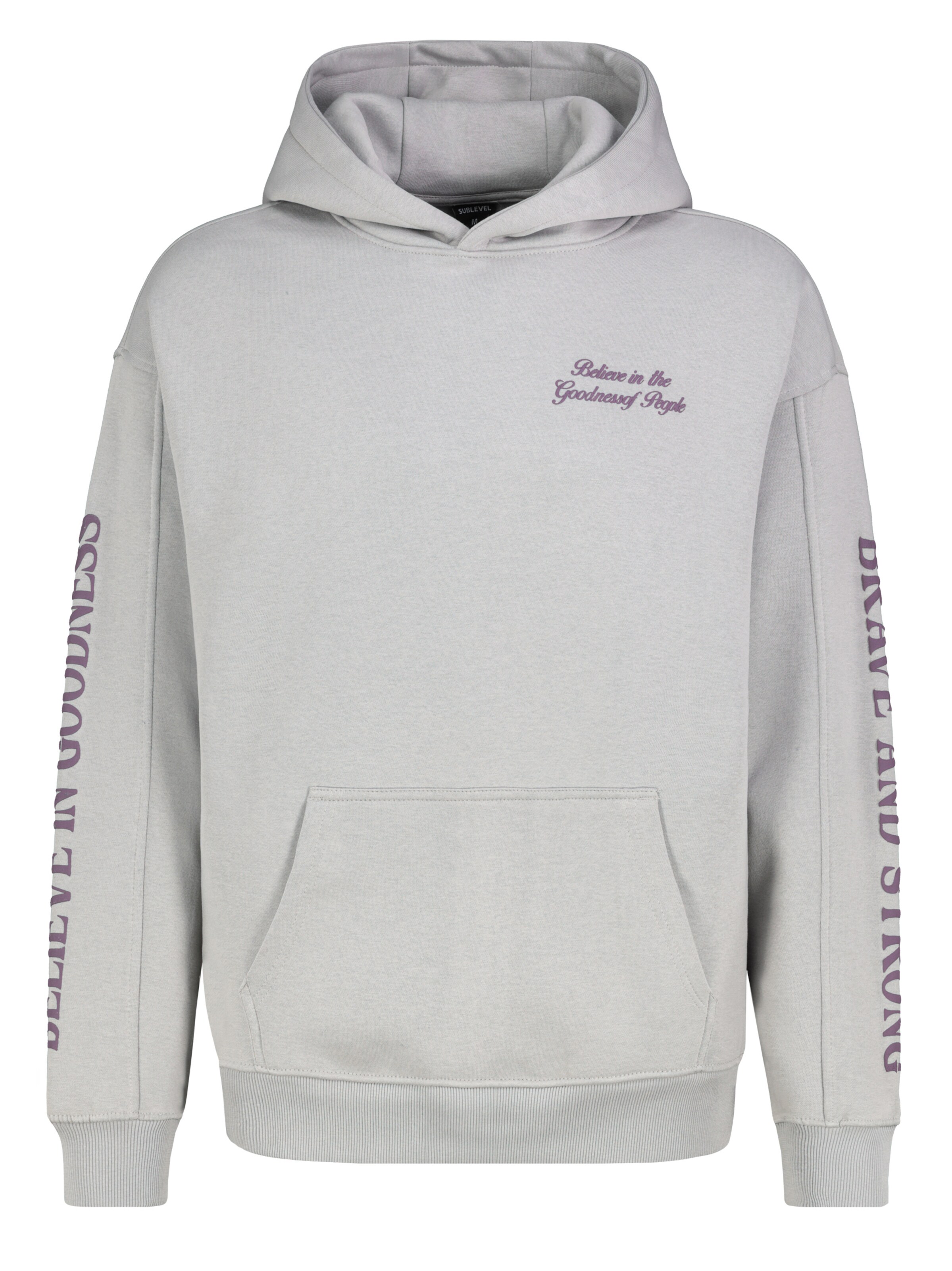 Sublevel Sweatshirt in Grau: Vorderseite