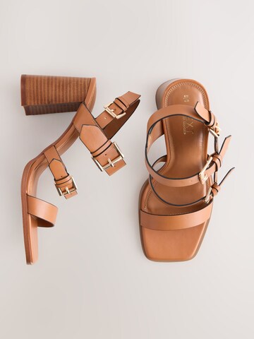 Next Sandalen met riem 'Forever Comfort®' in Bruin