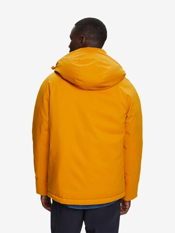 ESPRIT Winter Jacket in Orange