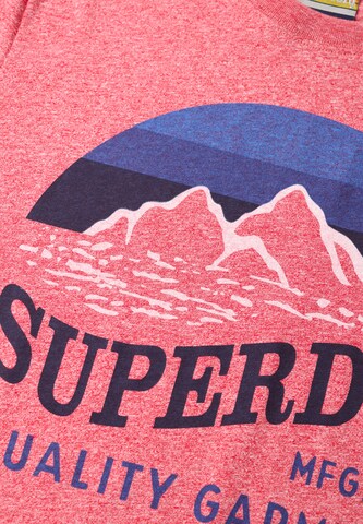 Superdry Shirt in Pink