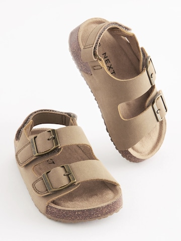 Calzatura aperta di Next in beige