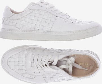 Boden Sneakers & Trainers in 39 in White: front