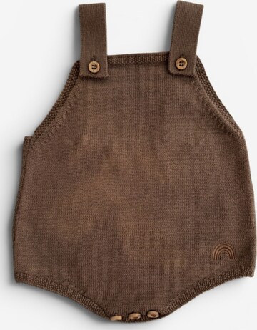 KURTI & FRIEDA Regular Overalls 'Knit' in Brown: front