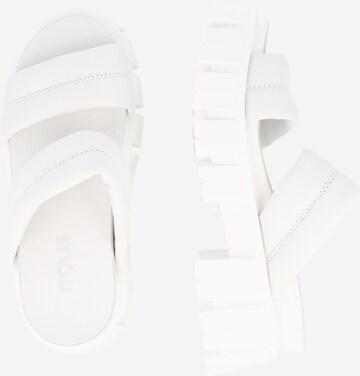 MJUS Mules 'Esagerata' in White