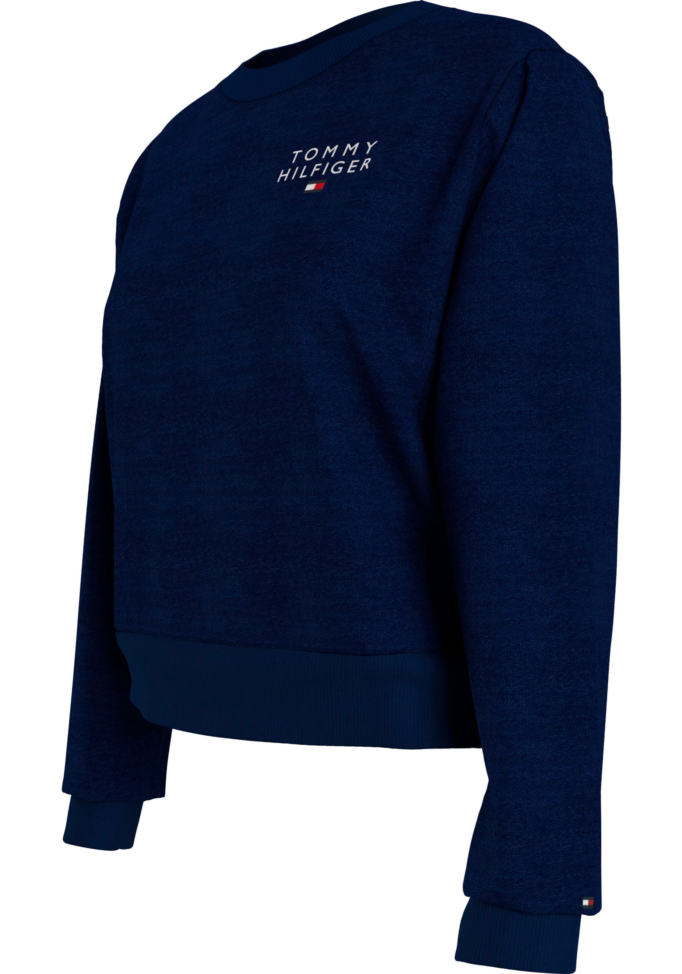 TOMMY HILFIGER Свитер в Синий