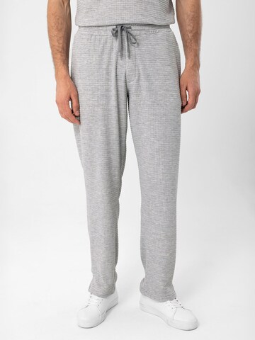 Regular Pantalon Antioch en gris : devant