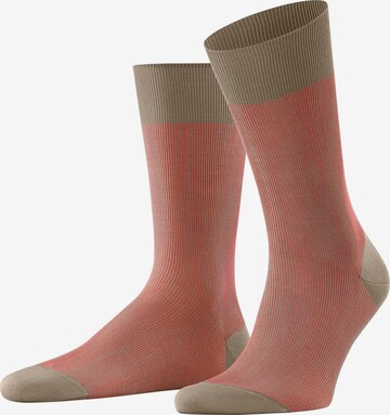 FALKE Socken 'Fine Shadow' in Beige: Vorderseite