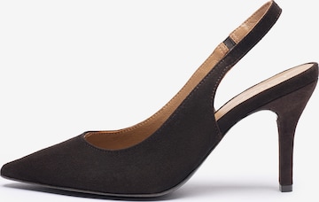 ruda RYŁKO Basutės: priekis