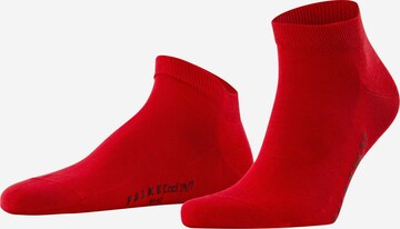 FALKE Socken in Rot: predná strana