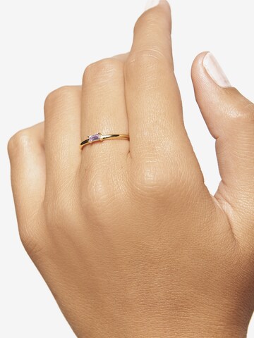 P D PAOLA Ring 'Amani' in Gold: front