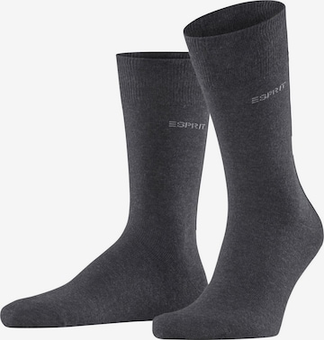 ESPRIT Socks 'Solid 4-Pack' in Grey: front
