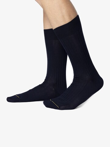 Ciocca Socks in Blue