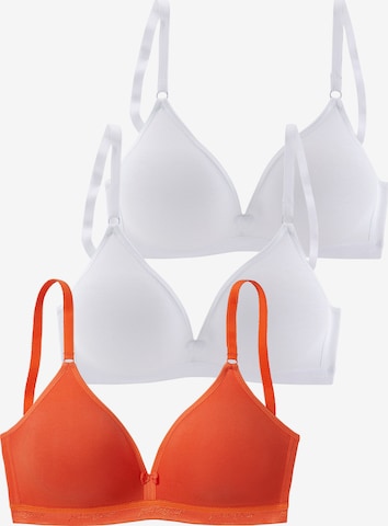 PETITE FLEUR Triangle Bra in Orange: front