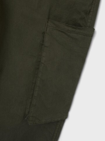 LMTD Regular Broek in Groen