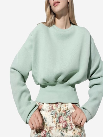 Busem Sweatshirt 'Sweatshirts'‌‌‌‌‌‌‌ in Grün