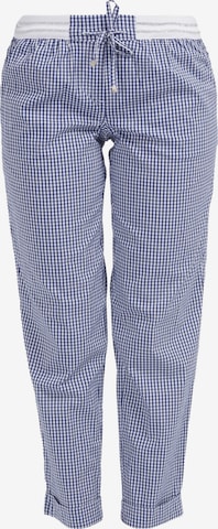 HELMIDGE Pants in Blue: front