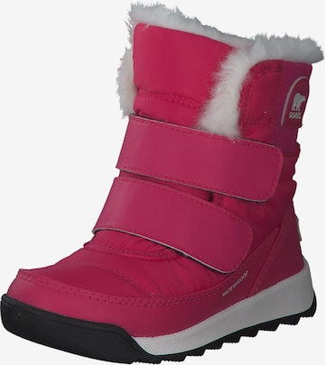 SOREL Snow Boots 'Whitney II 1920331' in Pink: front