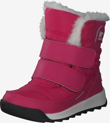 SOREL Snowboots 'Whitney II 1920331' in Pink: Vorderseite
