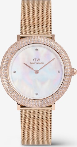 Daniel Wellington Uhr in Gold: Vorderseite