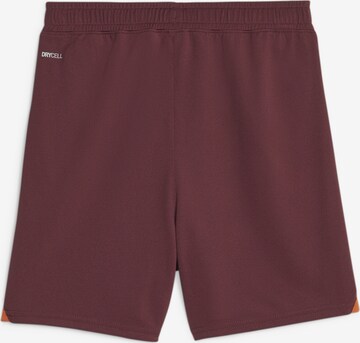 PUMA Regular Sportshorts 'Manchester City' in Lila