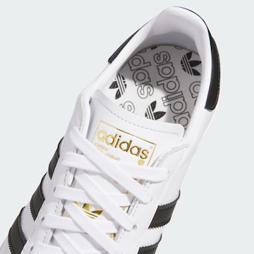ADIDAS ORIGINALS - Sapatilhas baixas 'Jabbar' em branco