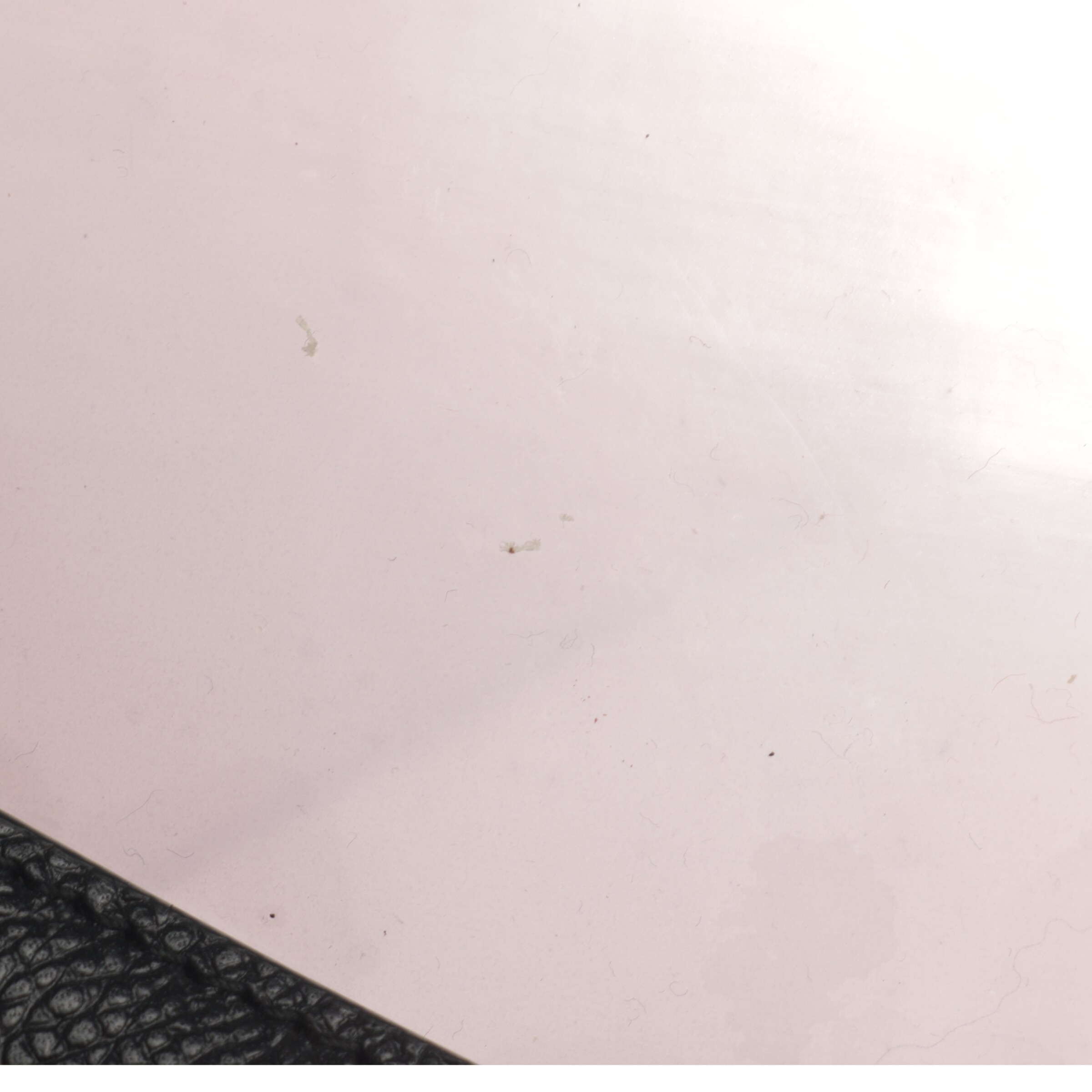 Bally Small Leather Goods in One size in Black