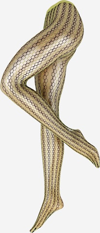 FALKE Fine Tights 'Hit 70' in Yellow: front