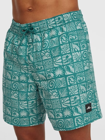 O'NEILL Kratke kopalne hlače | zelena barva: sprednja stran