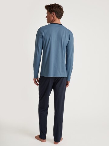 CALIDA Pajamas long in Blue