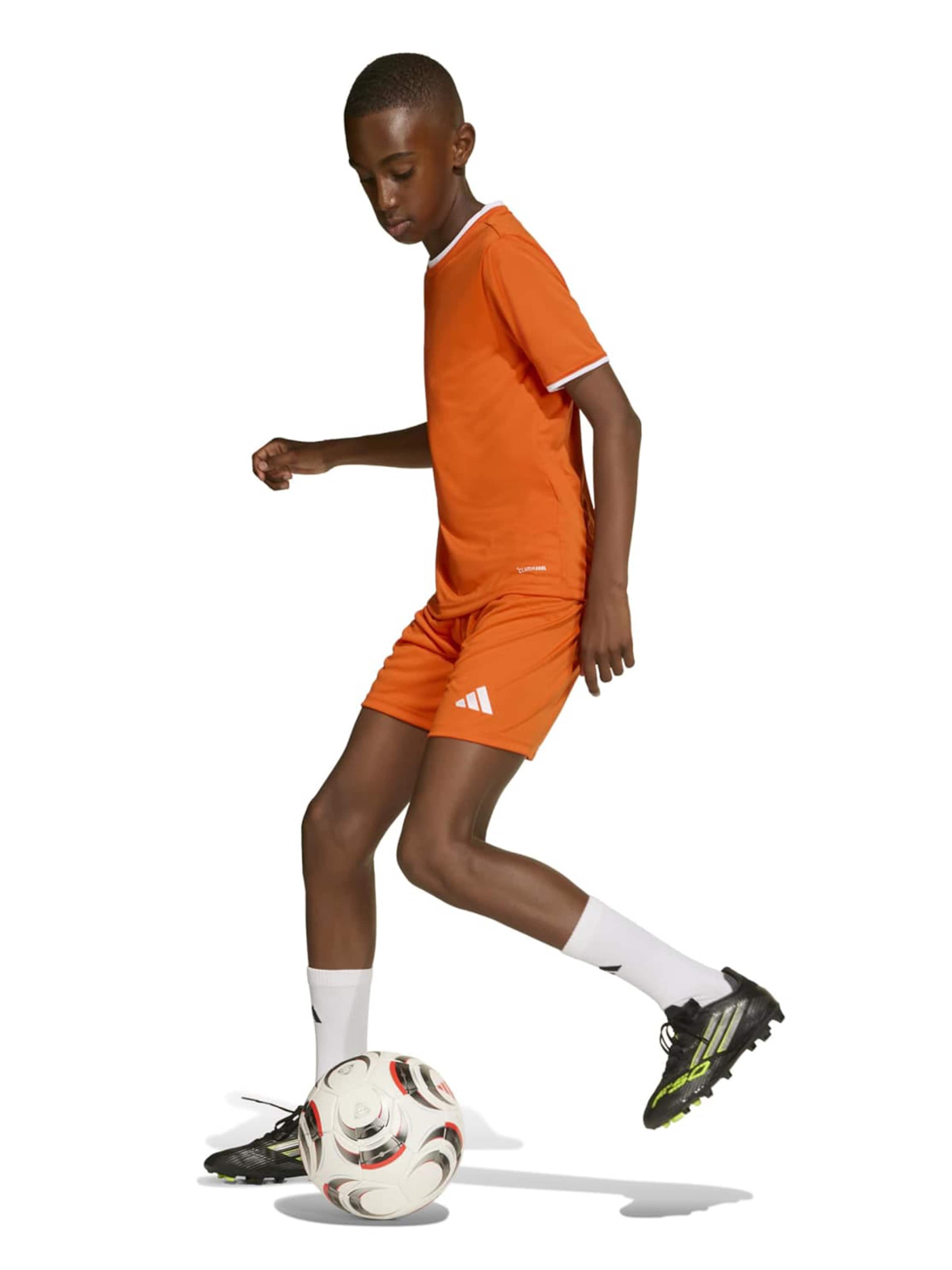 ADIDAS PERFORMANCE regular Παντελόνι φόρμας 'ENT26' σε πορτοκαλί