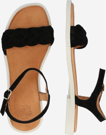 Apple of Eden Sandal 'ALMA' i svart