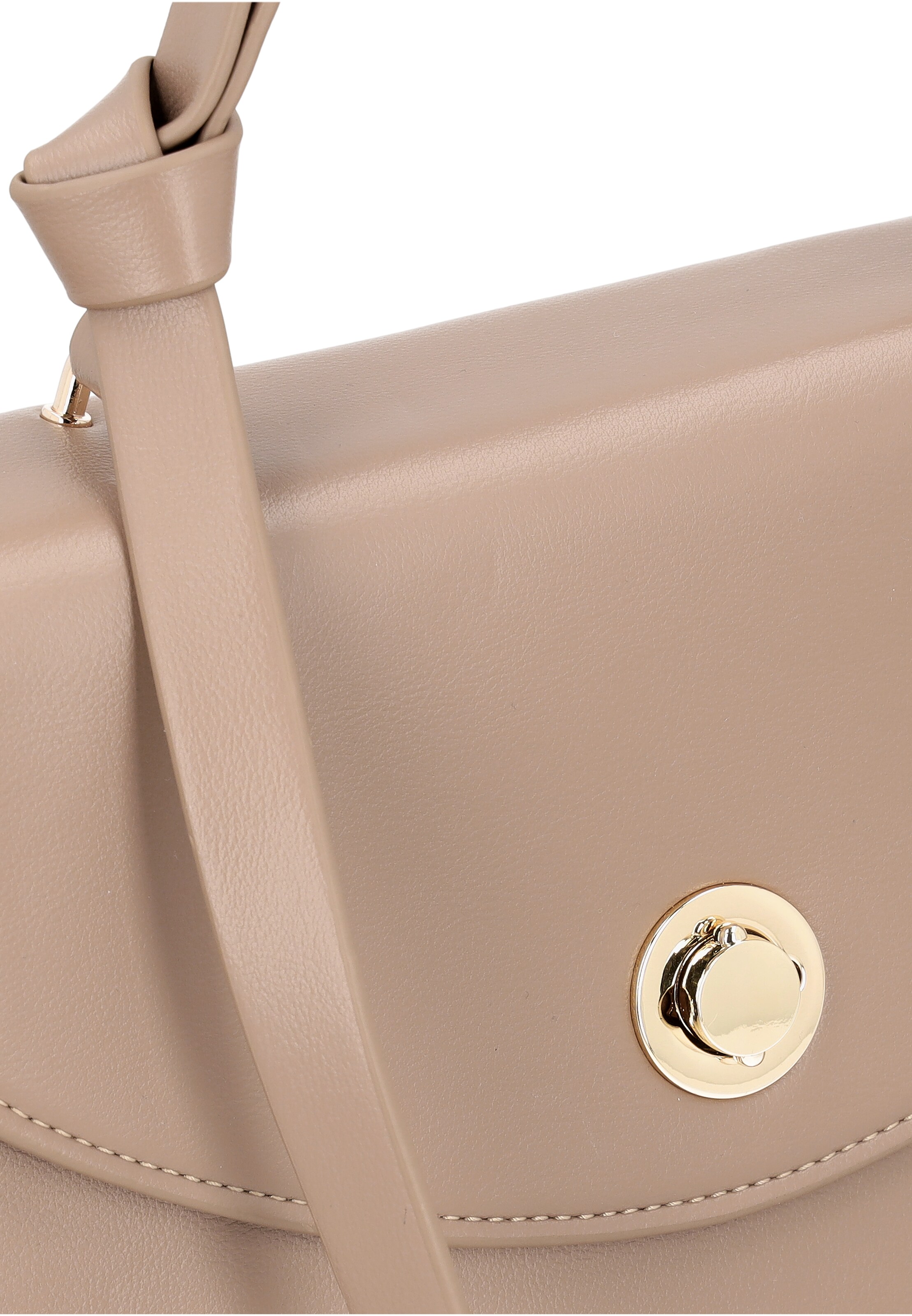 Usha Handbag in Beige