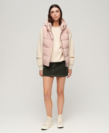 Superdry Bodywarmer 'Everest' in Roze