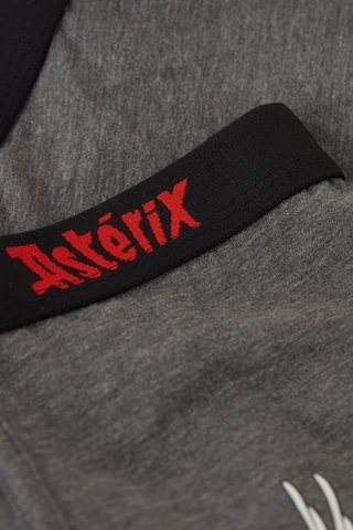 INTIMISSIMI Boxer shorts 'ASTERIX E OBELIX' in Grey