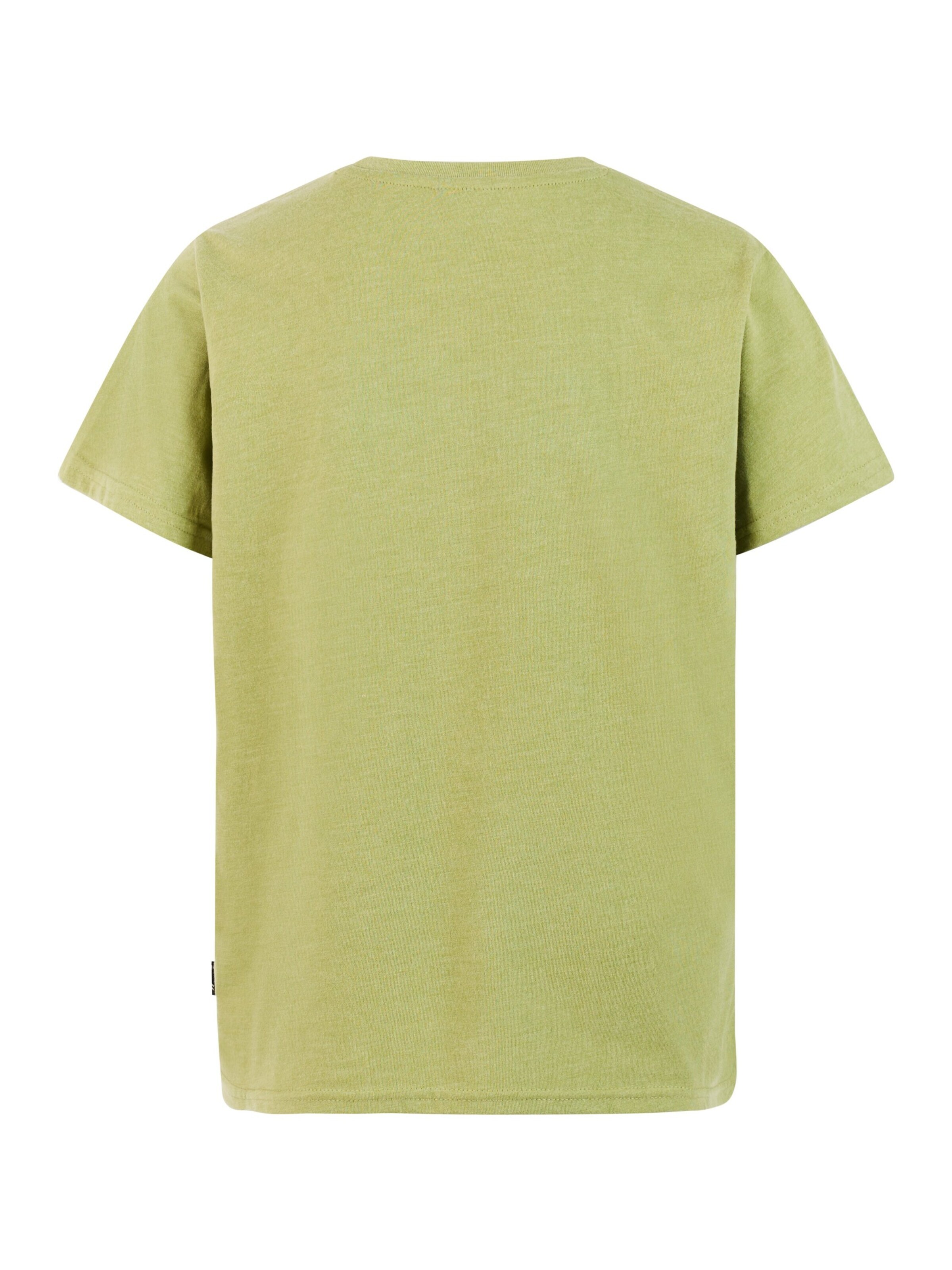 PROTEST Shirt 'PRTRay JR' in Green