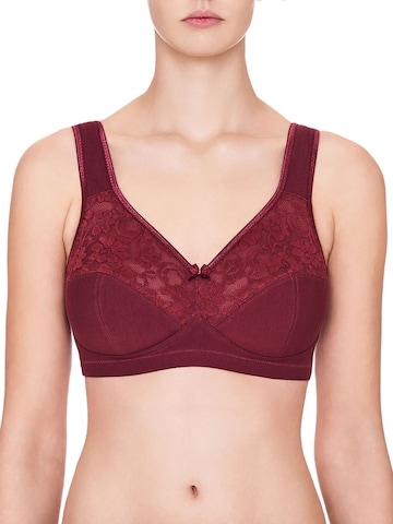 SUSA Minimizer BH 'Basic' in Blau