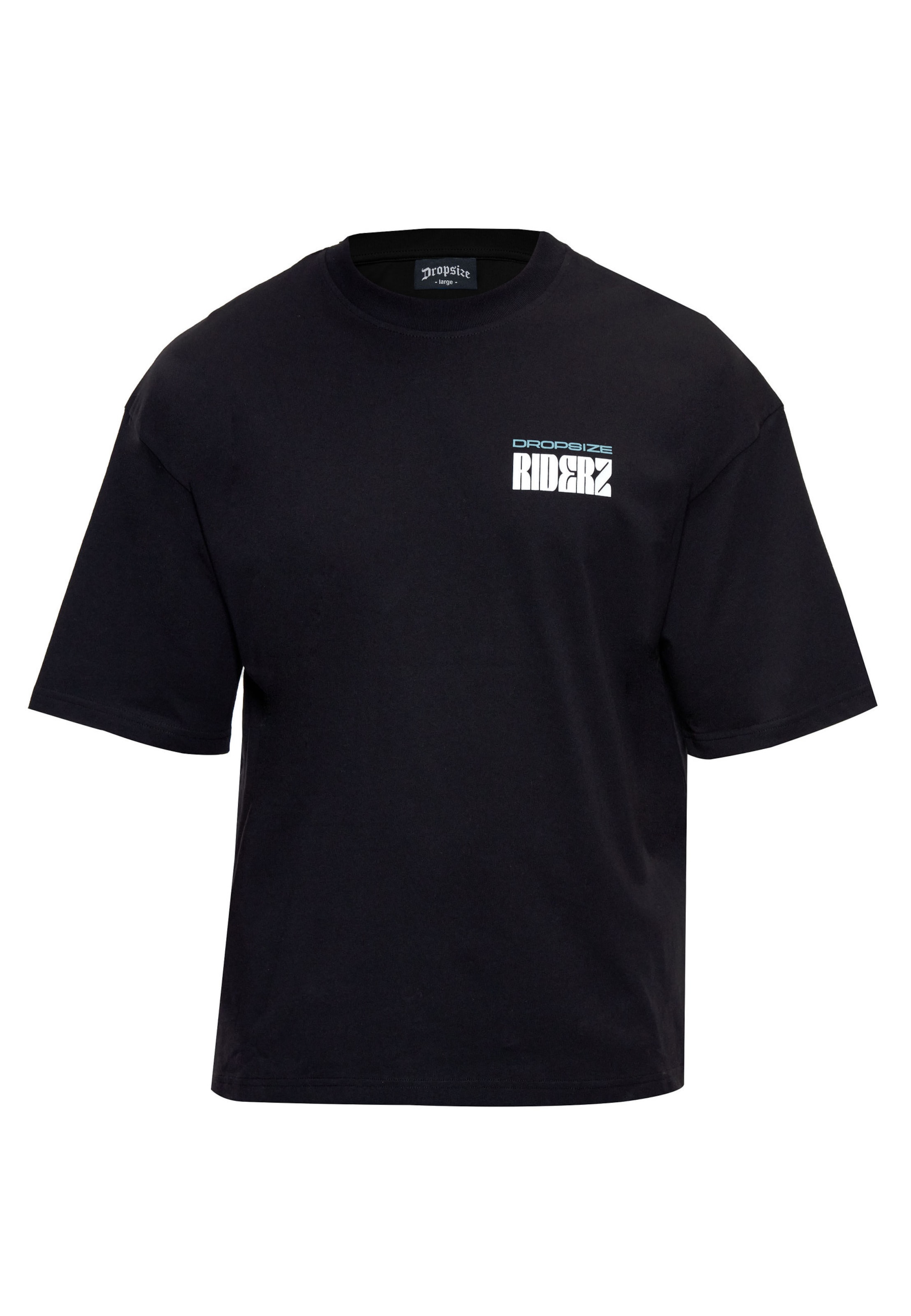 Dropsize Shirt in L in Light blue / Black / White, Item view