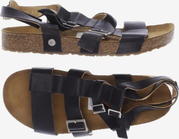 HAFLINGER Sandalen 40 in Schwarz: predná strana