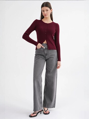 Giacchetta di MixRay in rosso