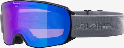 Alpina Skibrille 'Nakiska' in grau / schwarz, Produktansicht