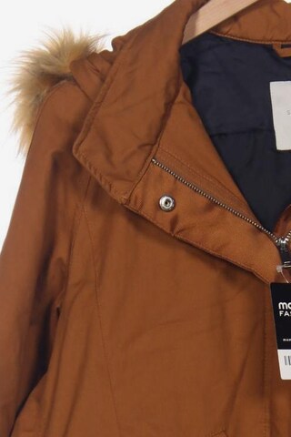 Springfield Jacket & Coat in XL in Brown